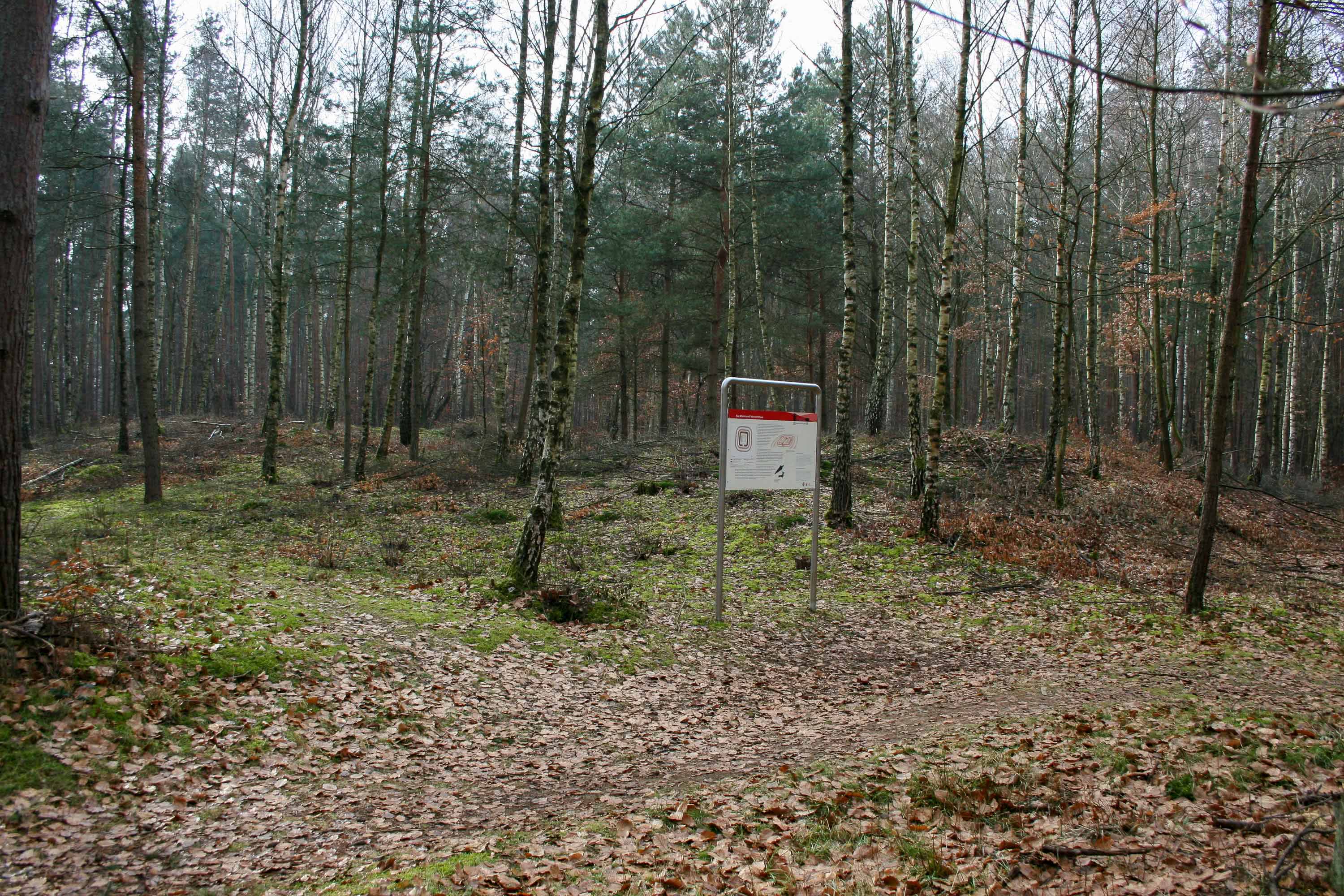 Kleinkastell Neuwirtshaus Hanau