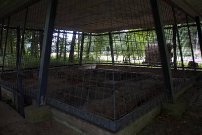 Absetzbecken der römischen Eifelwasserleitung in Klettenberg