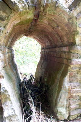 Absetzbecken der römischen Eifelwasserleitung in Klettenberg