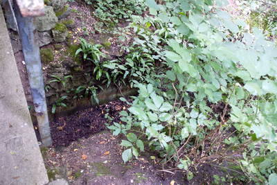 Absetzbecken der römischen Eifelwasserleitung in Klettenberg