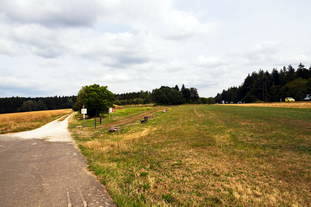 Archäologiepark Belginum - Freigelände