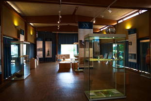 Archäologiepark Belginum - Museum