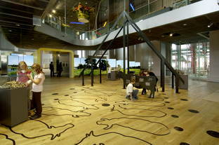 Archäologischer Park Xanten - Museum