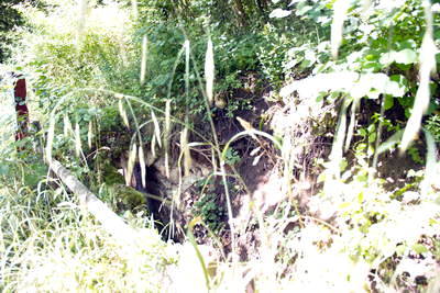 Aufschluß Kall-Urft der Eifelwasserleitung