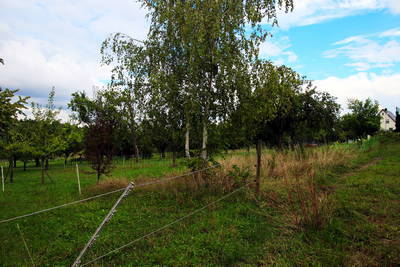 Benningen und Marbach: Kastellfreifläche