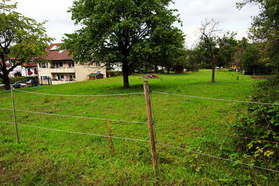 Benningen und Marbach: Kastellfreifläche
