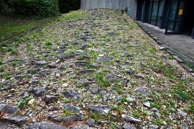 Benningen und Marbach: Römerstraße