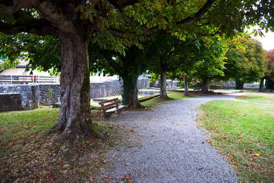 Brückenkopf Rheinheim Kastell auf Schweizer Seite
