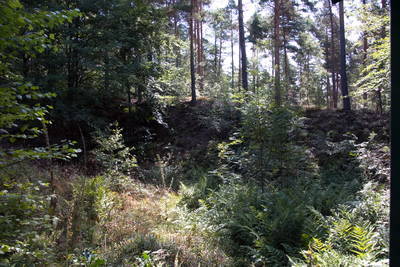 Eisenverhüttungsanlage Bad Neuenahr