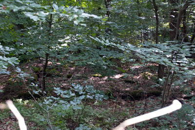 Eisenverhüttungsanlage Bad Neuenahr