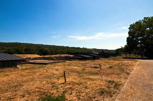 Europäischer Kulturpark  Vicus - Dorf