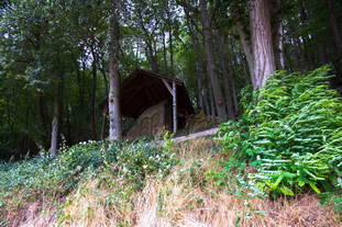 Felsendenkmal Schweinschied