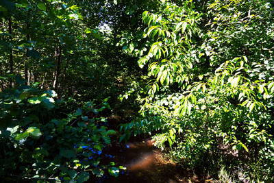 Gallo-römisches Quellheiligtum Kasbruch