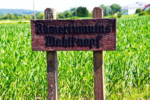 Grabtumulus Mahlkopf Nennig