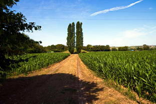 Grabtumulus Mahlkopf Nennig