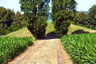 Grabtumulus Mahlkopf Nennig