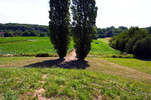 Grabtumulus Mahlkopf Nennig