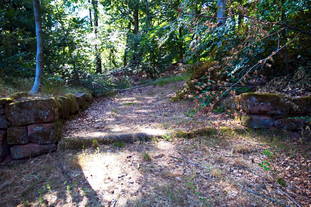 Höhensiedlung Grosser Berg