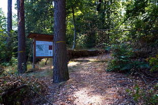 Höhensiedlung Grosser Berg