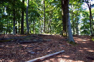 Höhensiedlung Grosser Berg