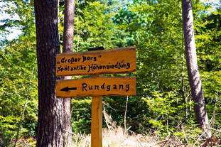 Höhensiedlung Grosser Berg