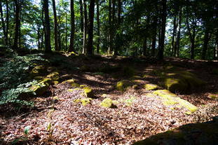 Höhensiedlung Grosser Berg