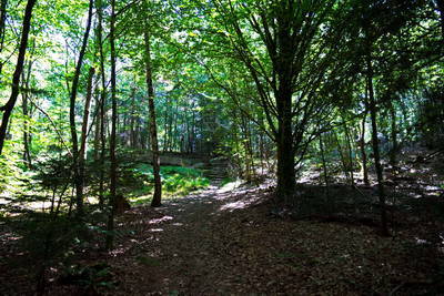 Kasbruch Römertreppe und Felsengräber
