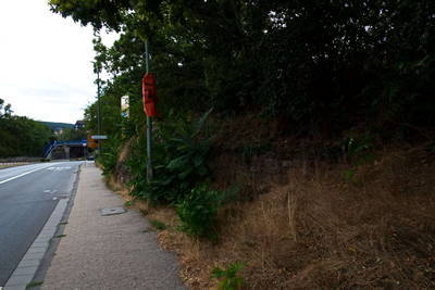 Kastell Bad Kreuznach