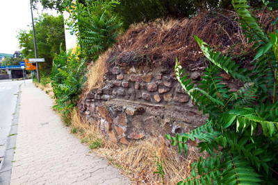 Kastell Bad Kreuznach