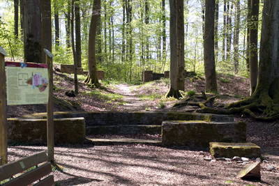 Kastell Holzhausen