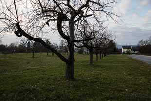 Kastell Miltenberg Altstadt