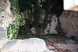 Kelteranlage Piesport