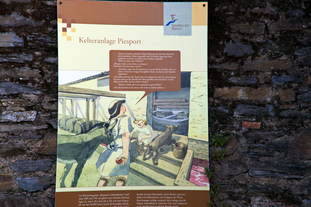 Kelteranlage Piesport