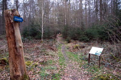 Kiesgräber - Neu-Diesburgerhof