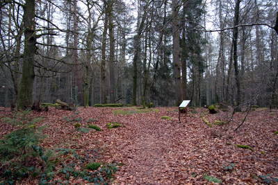 Kiesgräber - Neu-Diesburgerhof