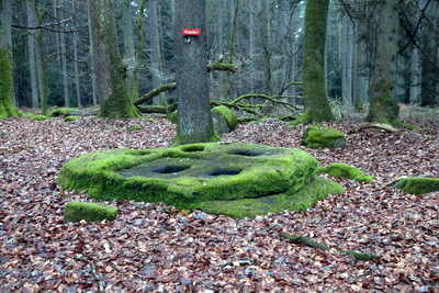 Kiesgräber - Neu-Diesburgerhof