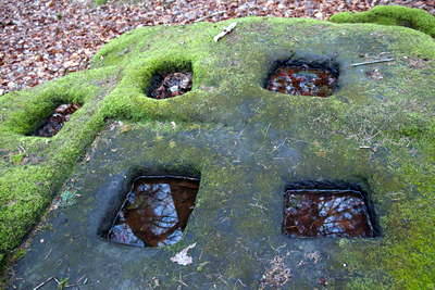 Kiesgräber - Neu-Diesburgerhof