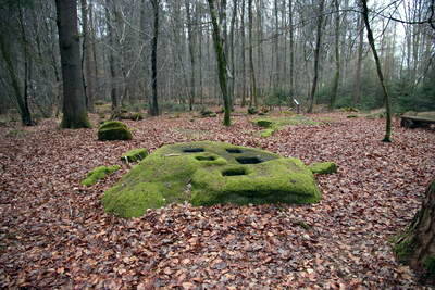 Kiesgräber - Neu-Diesburgerhof