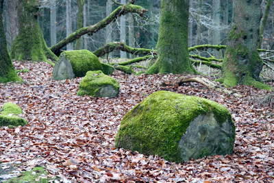 Kiesgräber - Neu-Diesburgerhof