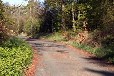 Kleinkastell Altes Jagdhaus am Limes