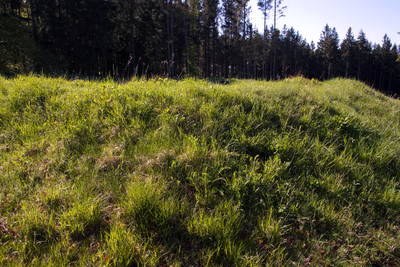 Kleinkastell Altes Jagdhaus am Limes