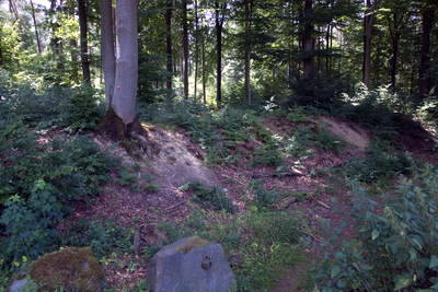 Kleinkastell Anhausen