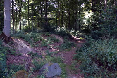 Kleinkastell Anhausen