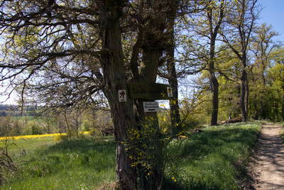 Kleinkastell Dörsterberg