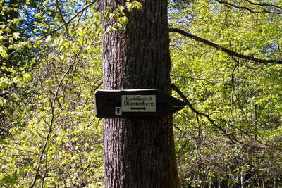 Kleinkastell Dörsterberg