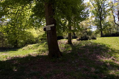 Kleinkastell Dörsterberg