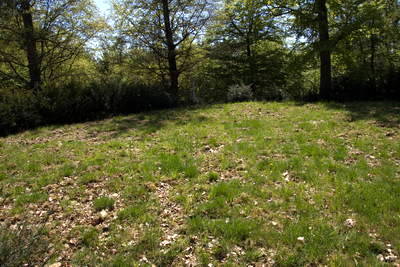 Kleinkastell Dörsterberg