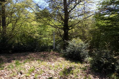 Kleinkastell Dörsterberg