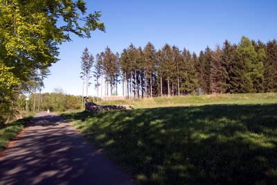 Kleinkastell Hillscheid
