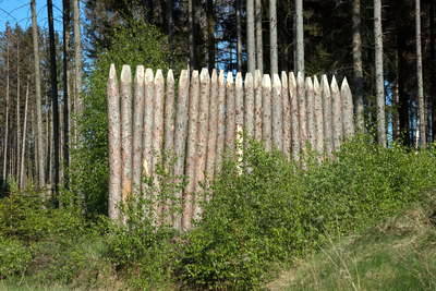 Kleinkastell Hillscheid